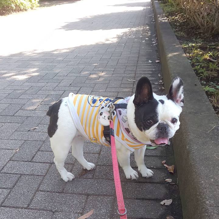 E43c4676 da36 4d2d 993e ce3c0bd7a694 1664151937613