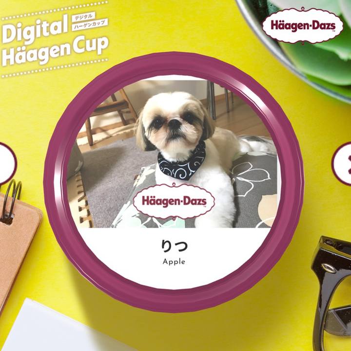 E43c4996 d46e 4501 a23a 8526127adcf2 1607517492241