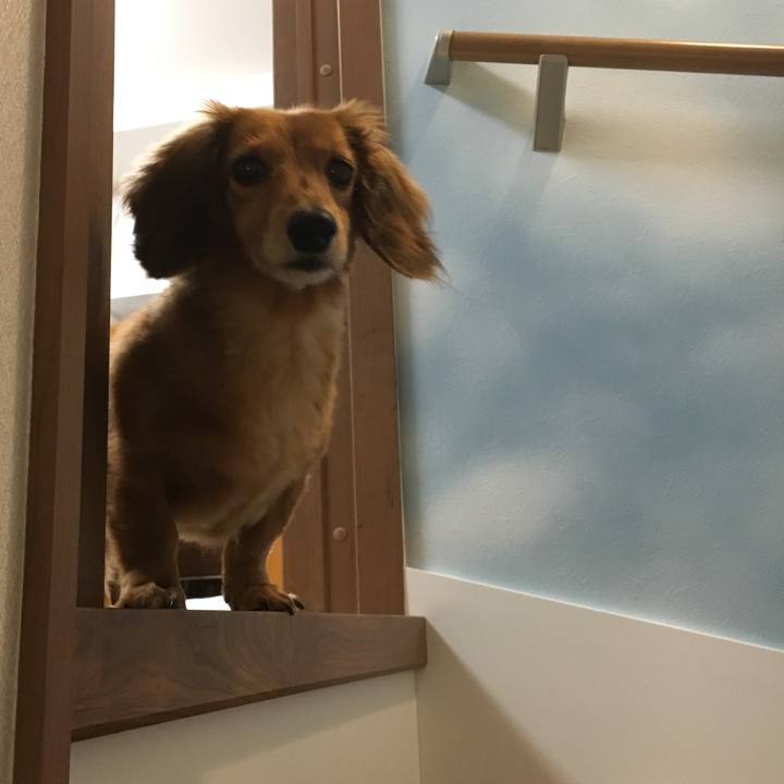 E43c62a2 d624 4a7c 9af9 c6fc133679ca 1531984894372