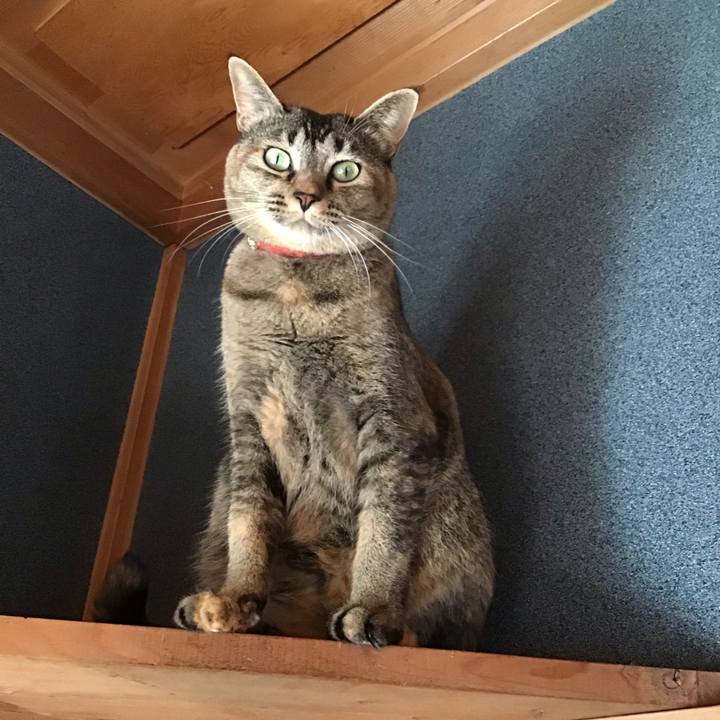 E43c70aa 2a59 43dc 92b1 5acbd3d47f9d 1630024202237