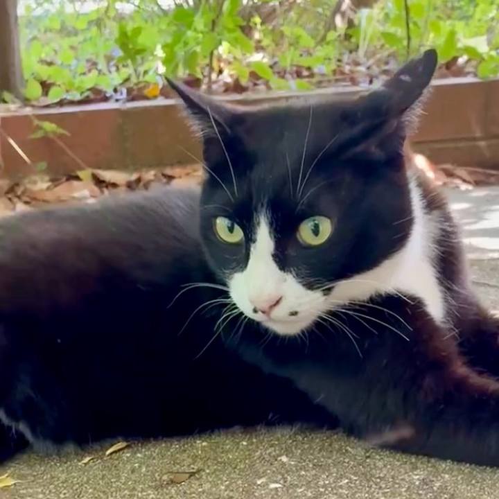 E43c97e9 c968 4657 bcfa bb437b6bb76a 1749088578323