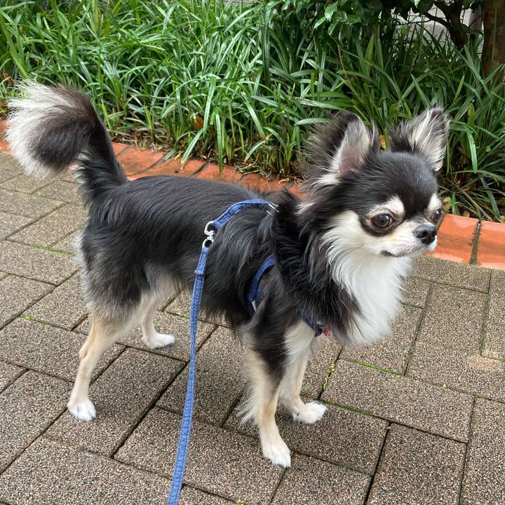 E43c991f 13b8 4dd1 87c6 e20b9e2da1f3 1625285770445