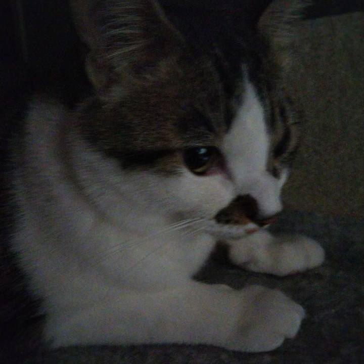 E43cc7fc a035 453a 8341 5df4c59a8476 1653480411222