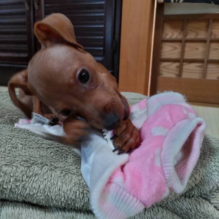 E43d0865 551a 4292 9879 db753e9d9f61 1668137883449