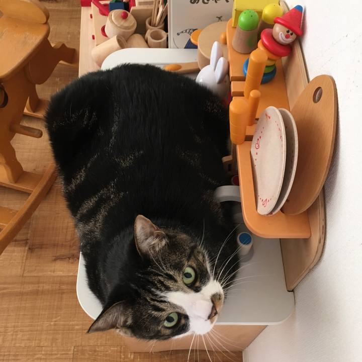 E43d6344 a463 4fce a9df 48e295dd615f 1560644203888