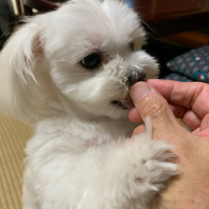 E43d69e0 0c23 4de8 9392 983c8752f3fd 1597548298388