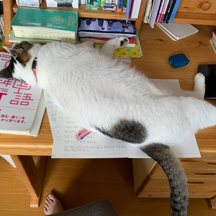 E43dbc72 1c26 4d7b 9cc7 585c99bba8c4 1596864265330