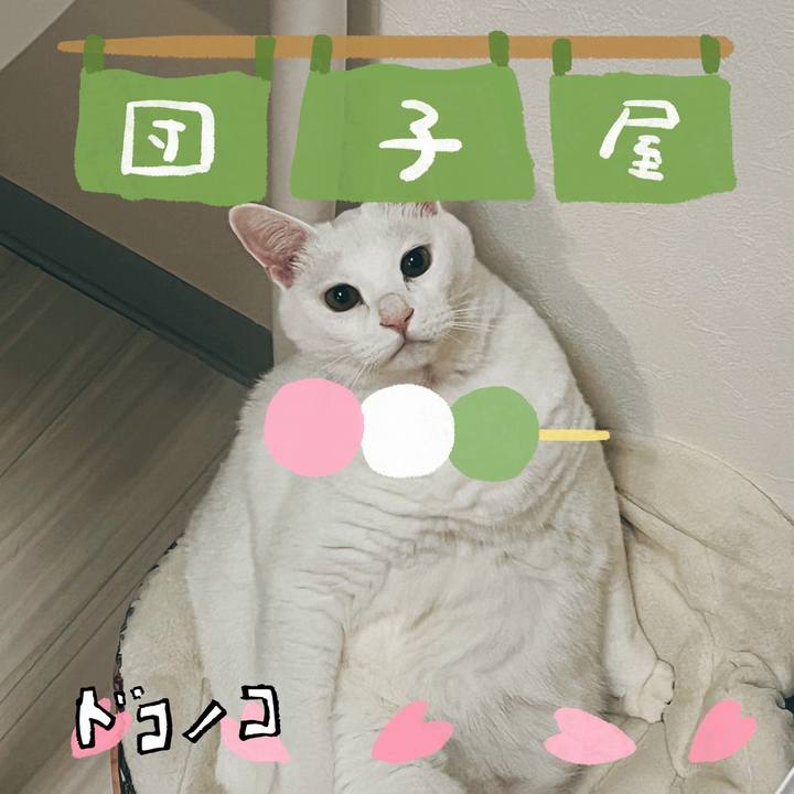 E43dbeb4 7a5b 4d17 b872 96a1c1ea923c 1712216439893