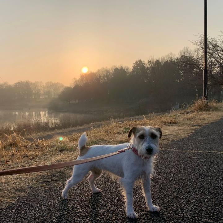 E43dc917 0b54 4365 ab57 00b01e96bd9f 1678152445794