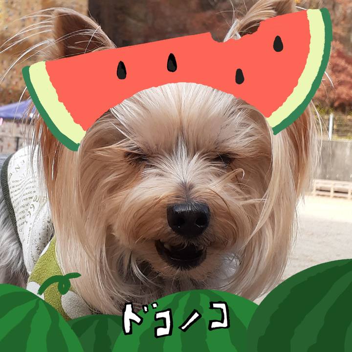 E43e8806 375e 45fe b351 ad47a2ba57ce 1720829316034