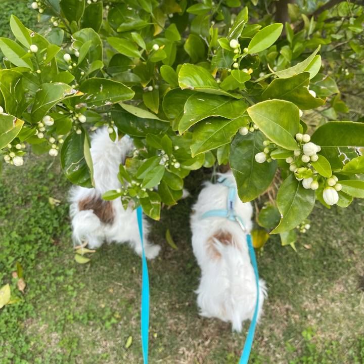 E43ee8f3 e5d1 4e5e 856c 1513bdfbfca8 1777066350932