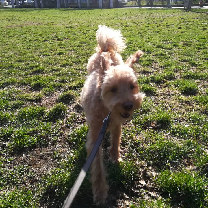 E43ef099 5dba 432e 83e3 0eac735648c4 1555540203364