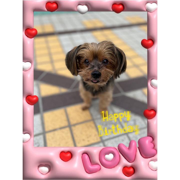 E43f1f3e a312 4533 9d25 8ffab2413713 1696899226232