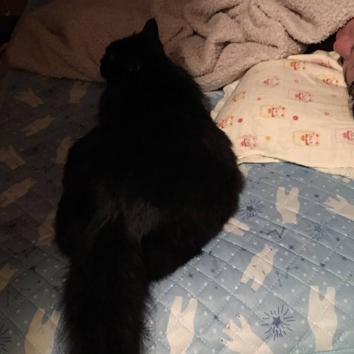 E43f2c08 205a 442c a73d 423b04bf116f 1548081475439