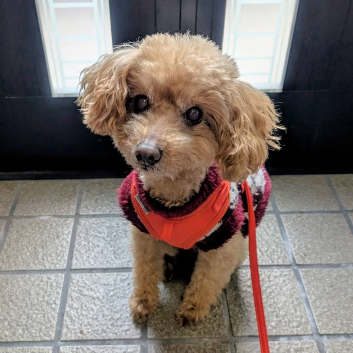 E43fba1c 8187 43bd 916e ee91b06a153a 1767051990007