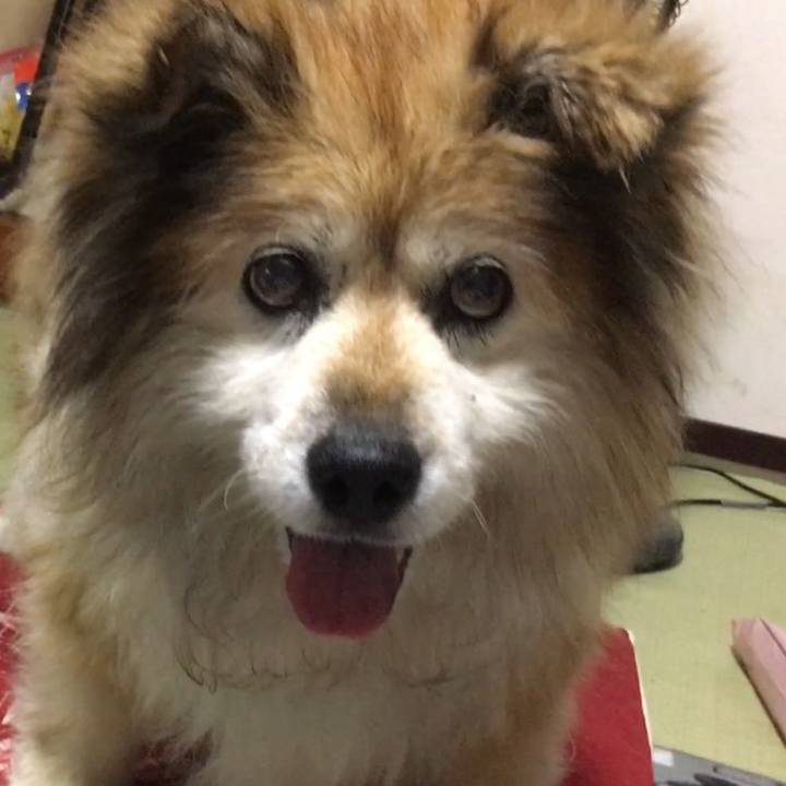 E43fd26d 0144 4712 8e39 365550a7cd64 1640867218870