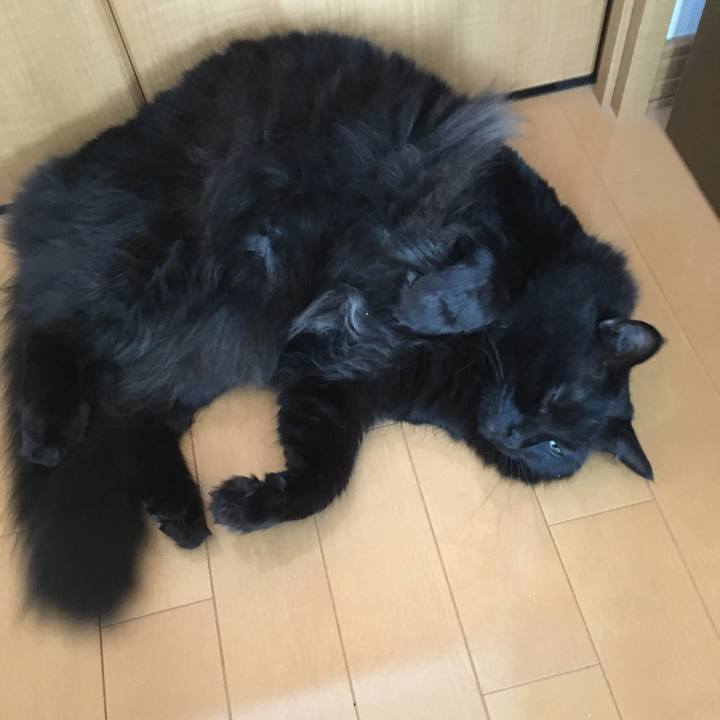 E43ffafd 5111 4206 8c66 1cb946b77cd8 1533193264356