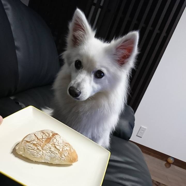 E4402f7c be2f 47b4 9caf 2c25c5481031 1522928748910