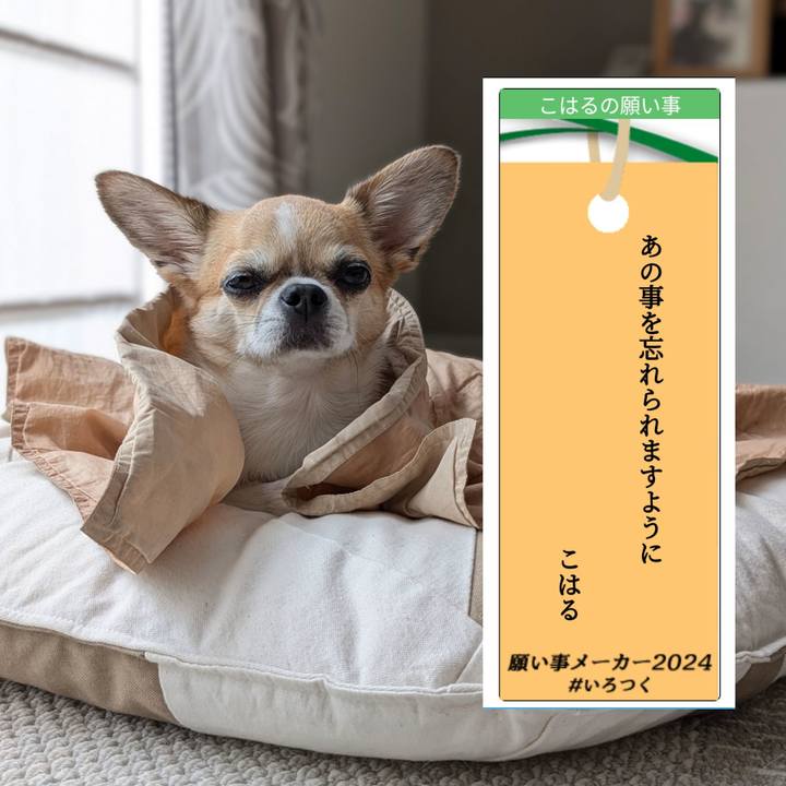 E4403405 c441 4d23 9a31 8280d2a52436 1720333542547