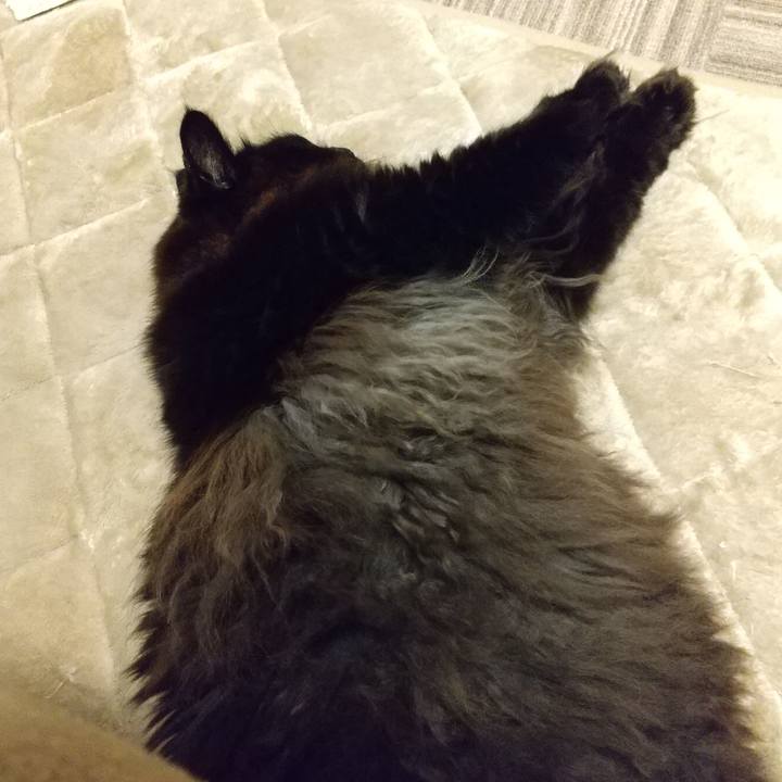 E44059e0 b584 402c 96ec 91166e932107 1643373701406