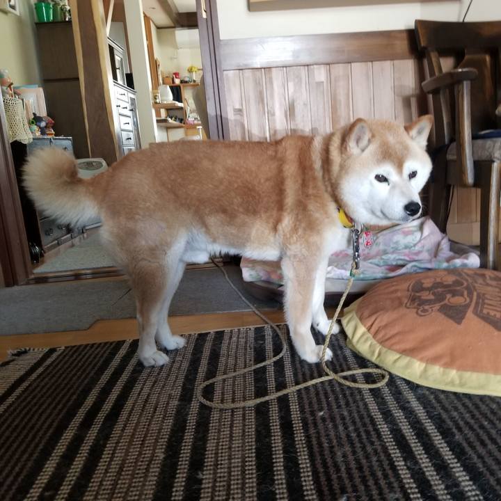 E440bb87 f2ab 4ede bb80 f0f935e1948a 1687224245282