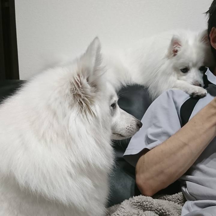 E440e800 967e 4a01 8d92 c1c4a286e115 1592202410404