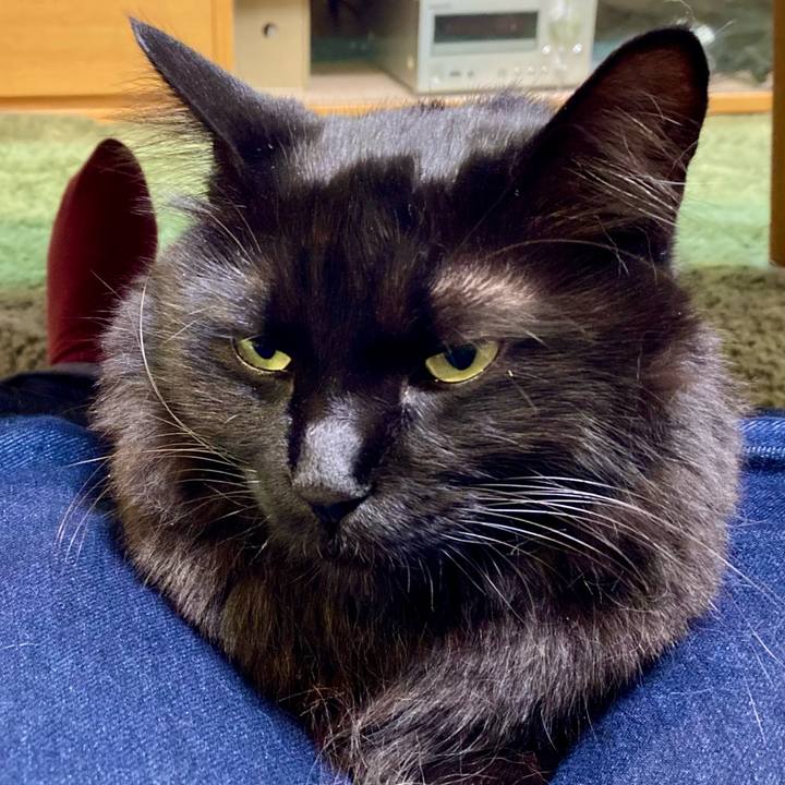 E441085a 9ef9 44a8 becd 00c07f047f9a 1762335609606