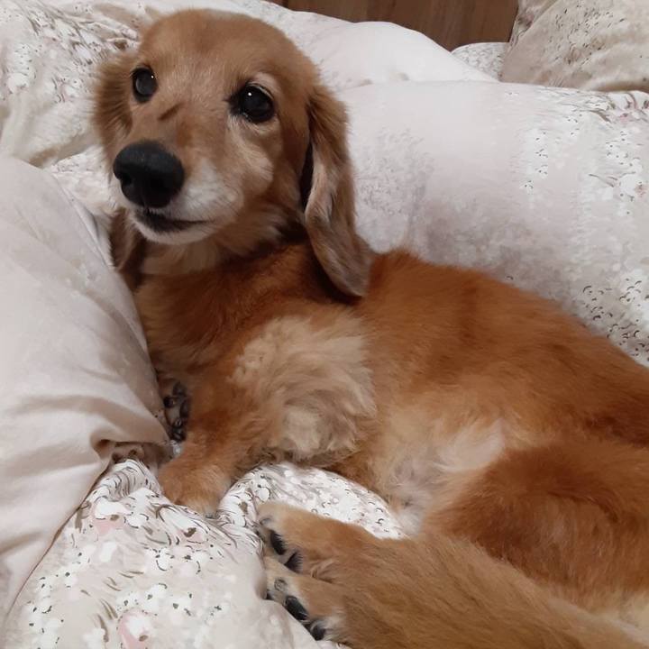 E4414397 c0bb 4833 b4c2 84adf363bf36 1641996498908