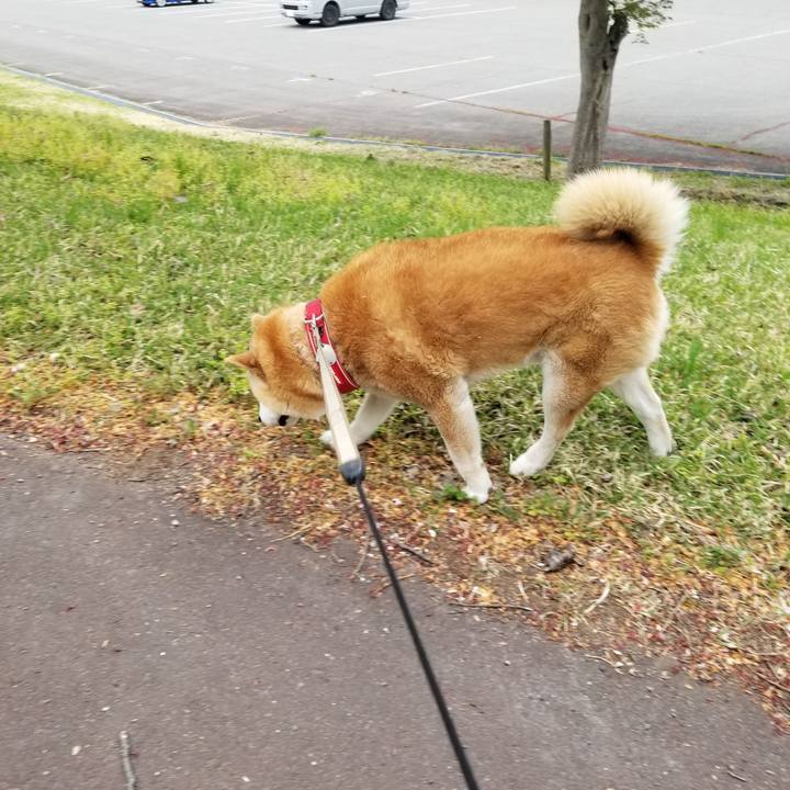 E4418596 bf52 462f bd10 9167849a3549 1714374193052