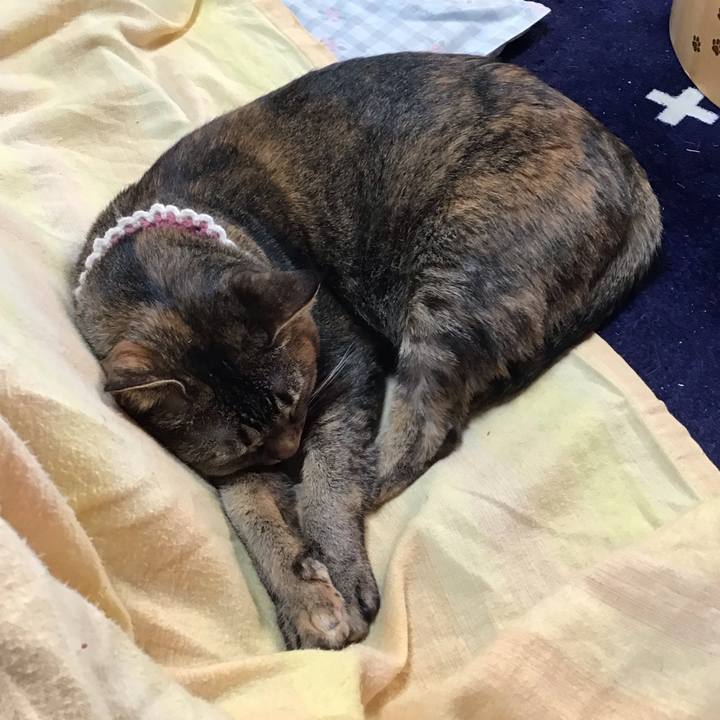 E44197c2 c922 41ed bbea 426267c7dbd1 1736755954755