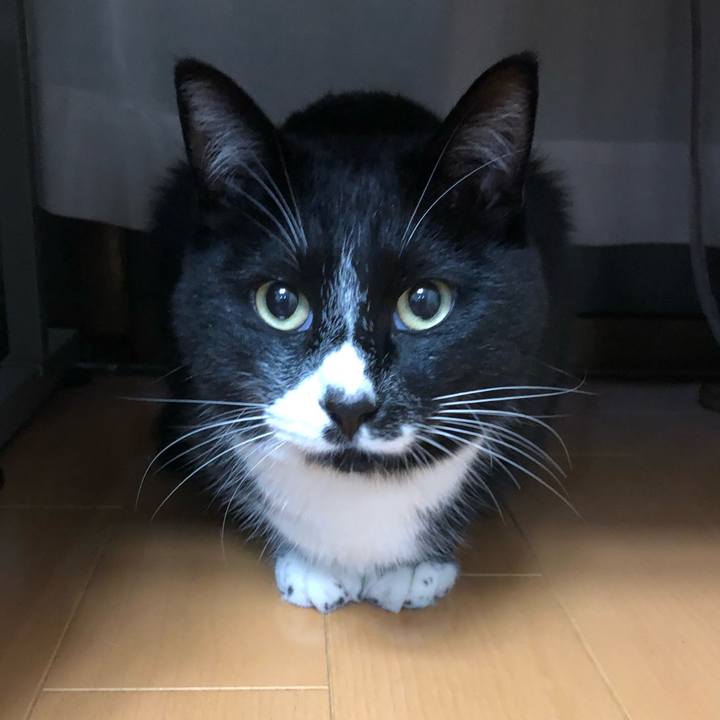 E441d288 01b9 41a6 ac92 b8c9f1664042 1554781874112