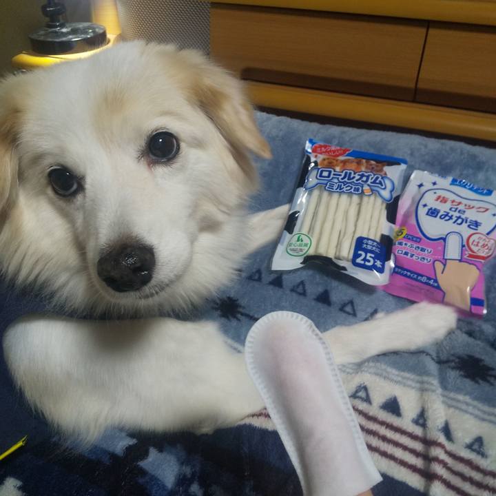 E441eca3 cfc8 4de5 ac99 45cf4e0a8f08 1638308717524