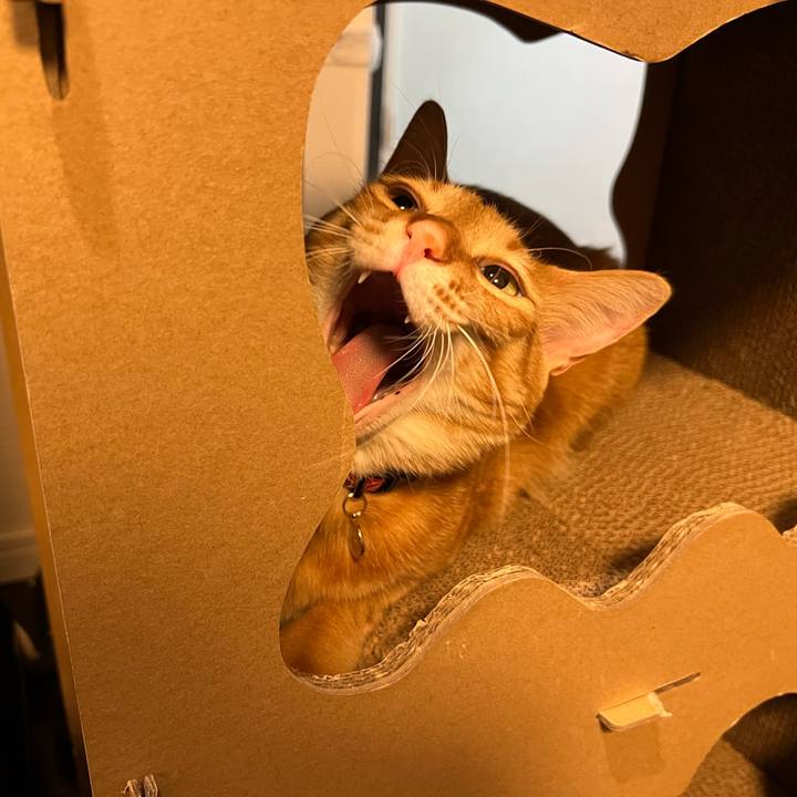 E4421f6d 6bfa 46a2 80a4 9c966e09f481 1680609444273