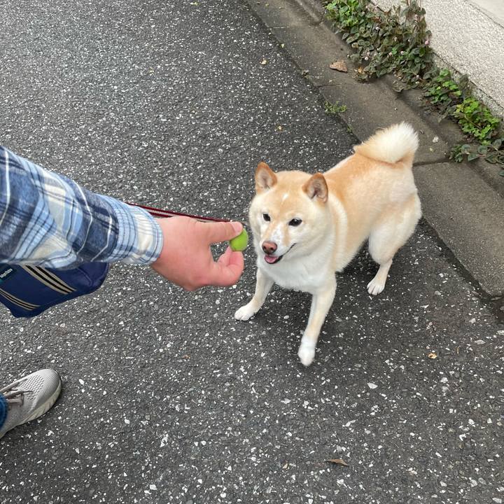 E4422be6 0380 45dc 8c36 de708a812371 1684620766216