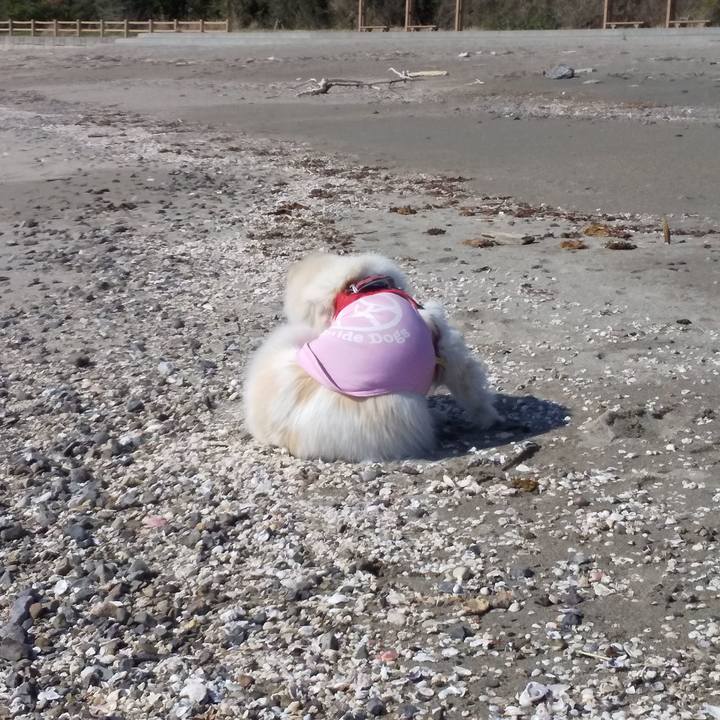 E44244b6 7edf 47bf 9c6c 0b3ae82248ec 1593573144189