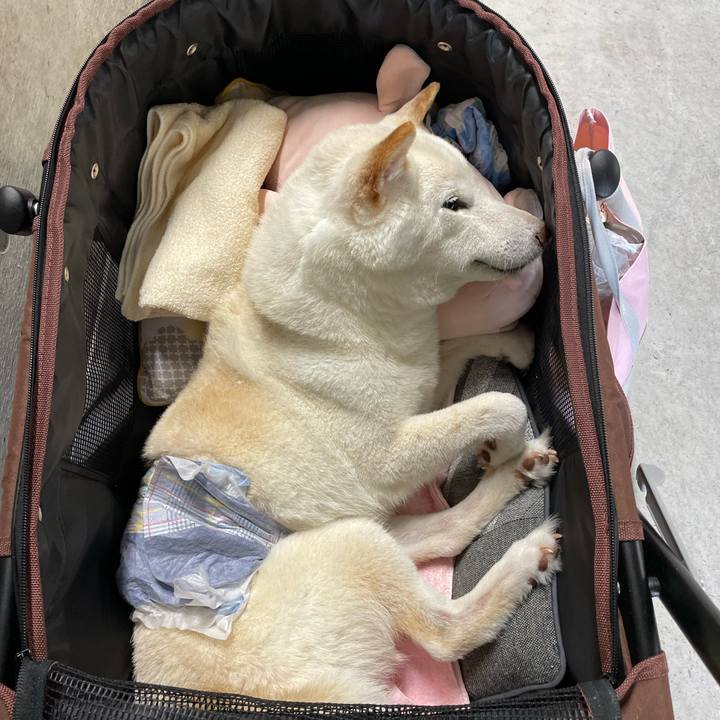 E4427037 2603 4754 aa53 a54bb6f35337 1654876570047