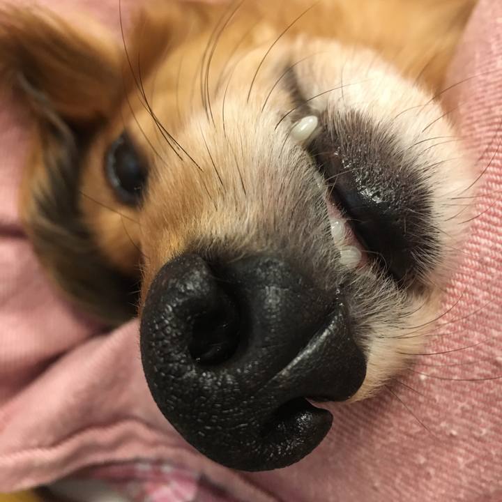 E4428a20 2976 446e 87bb 4ccd40a8d95f 1516260809663