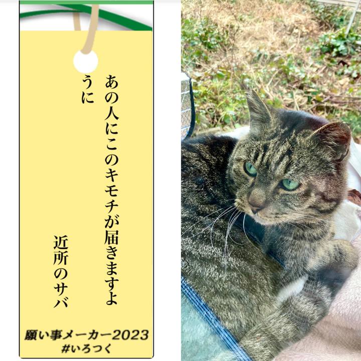 E442a018 0ab2 4618 95b0 7b519830341f 1688713158297