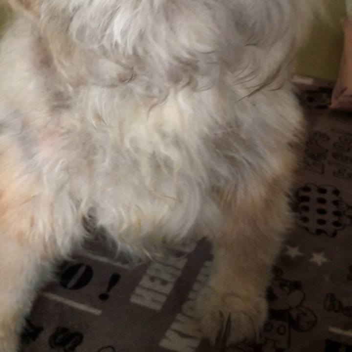 E442fe67 06d0 4a34 93b7 7af5eb1acf12 1606985386455