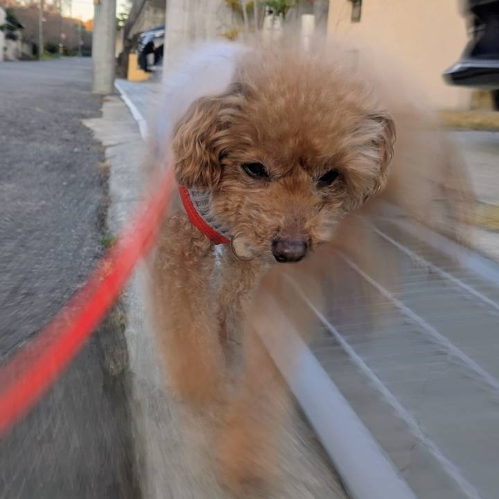 E44320ee 3a18 499f 9c1c 14cf86c68f75 1765672714852