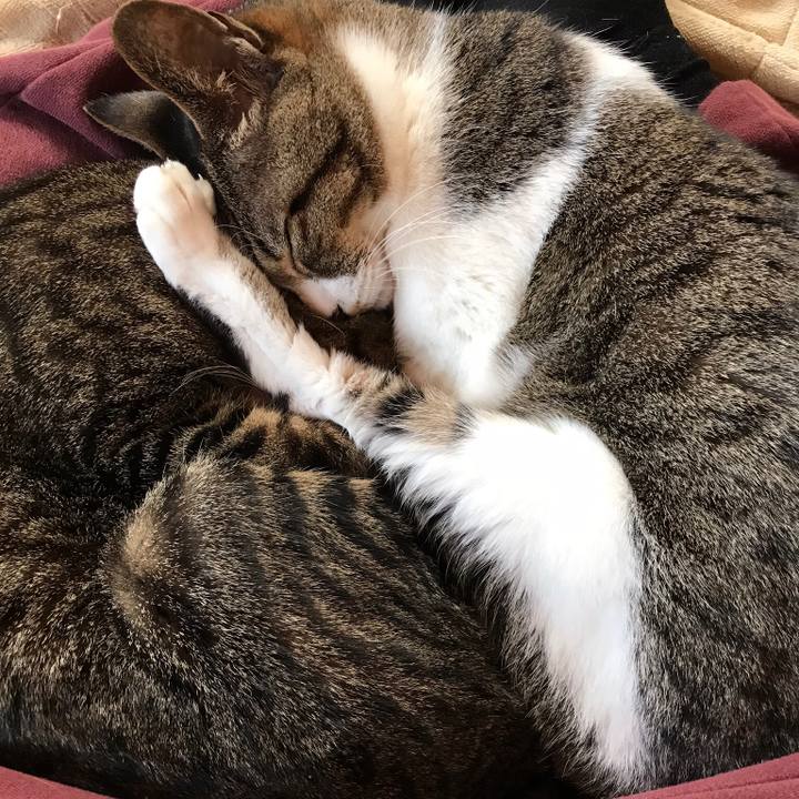 E443527d 2ad6 4fef a6fd 370e0857f03f 1518137887259