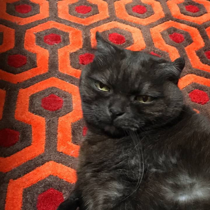 E44360dd 51bd 4f54 819a ca9ce64036ea 1552558800876