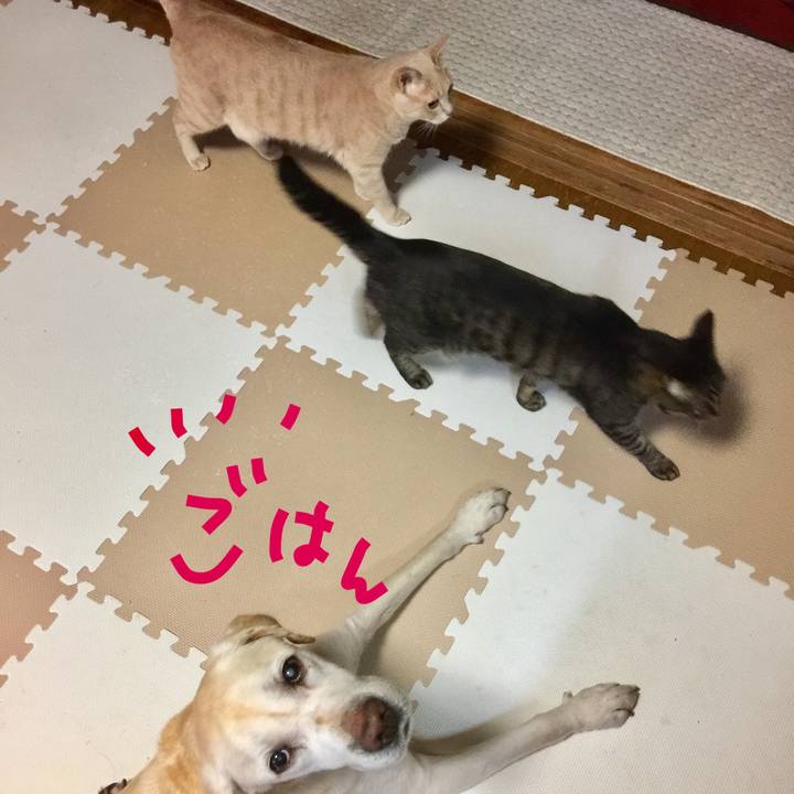 E4438db3 3dc0 4d69 85ed f08ab8faaba9 1632075927861