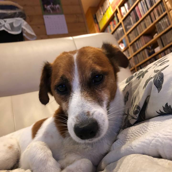 E4439b51 bc3b 46d4 83ec b9c19c63eb90 1529472602504