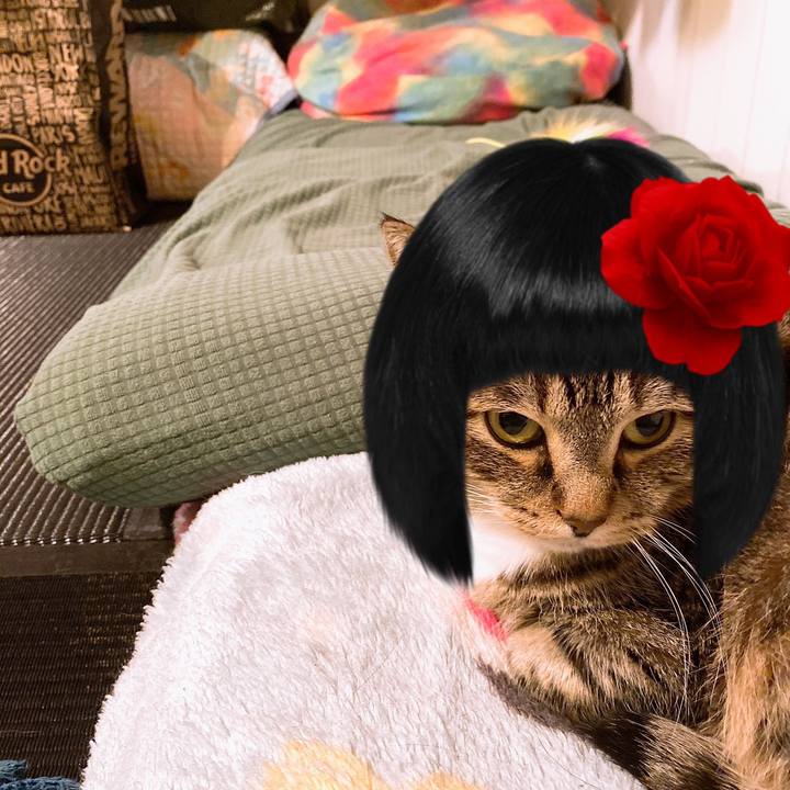 E443abc0 9877 4e74 b96e 96ee985ab989 1582313713068