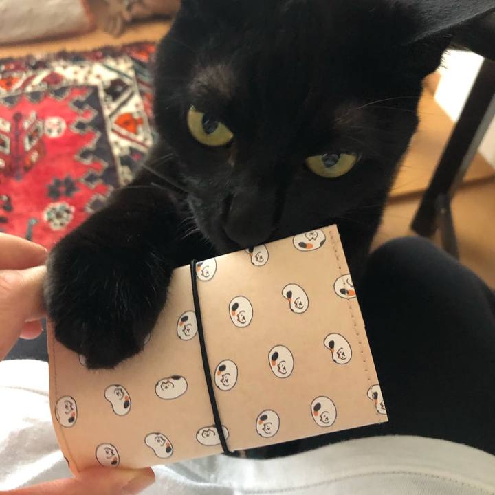 E443b58a b6e1 4b44 8f3a 087791102262 1594545345415