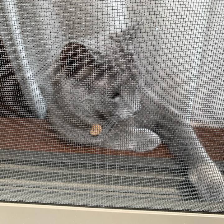 E443b771 692c 4f30 b7a6 a1675925a015 1591503054190