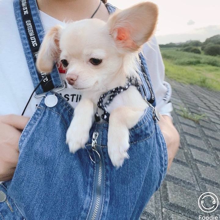 E443cbfc 94cf 4beb bd05 5376ccdc1292 1595199631794