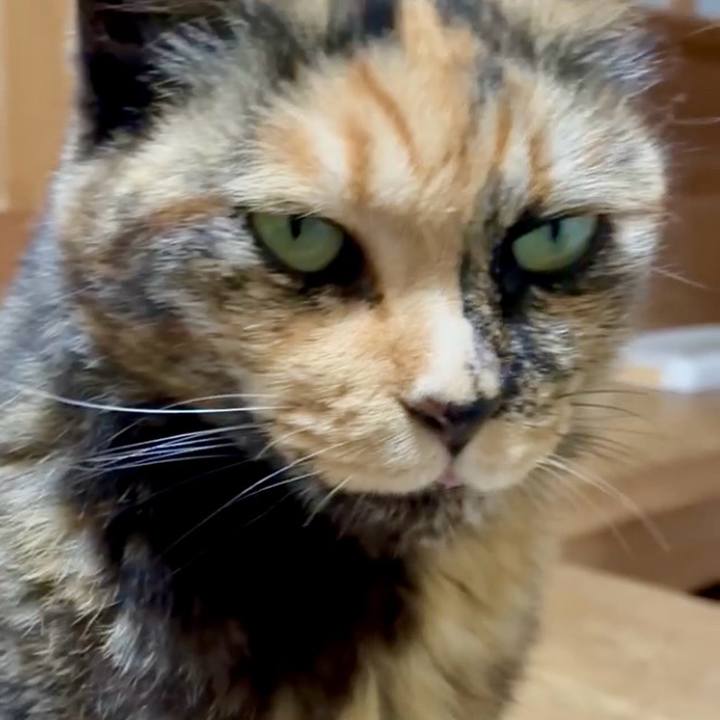 E443fec7 be5a 4d2a 81ed 257e7be057c6 1748339690724