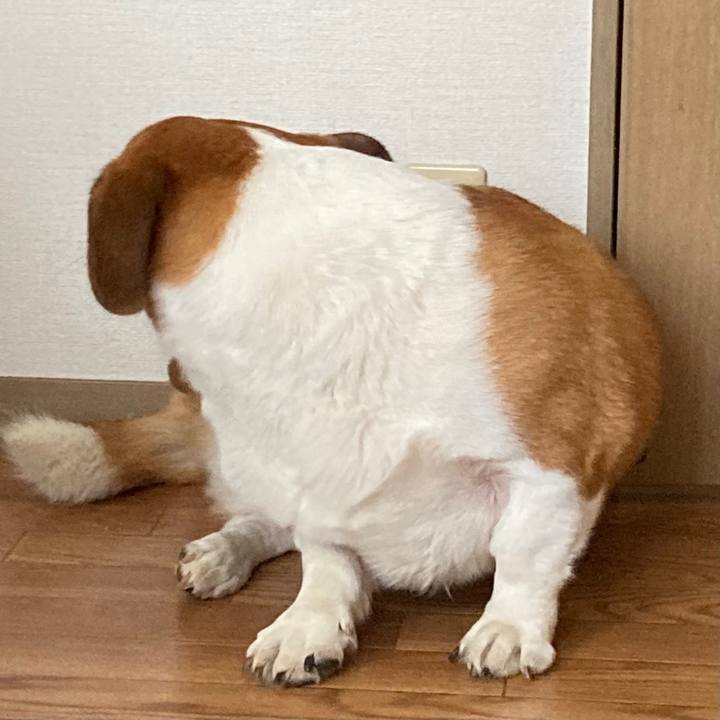 E44466e4 df50 4dfe be6a debf68b3f315 1696032924448